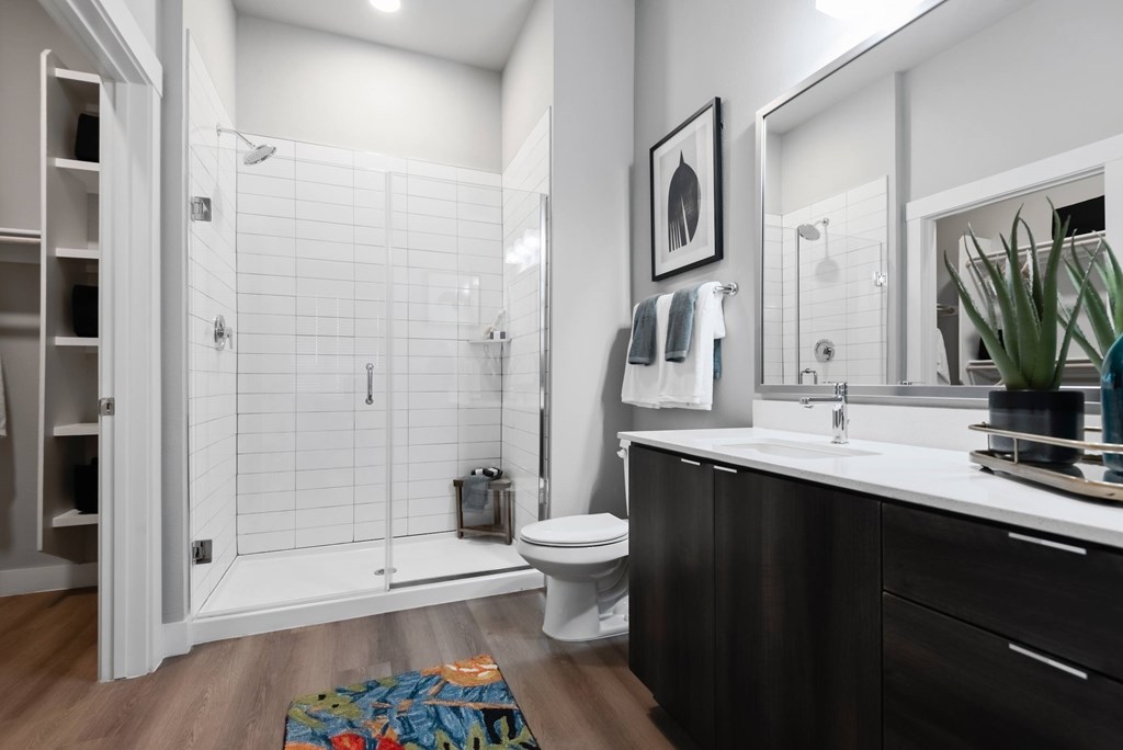 A bathroom with a walk-in shower and a toilet.