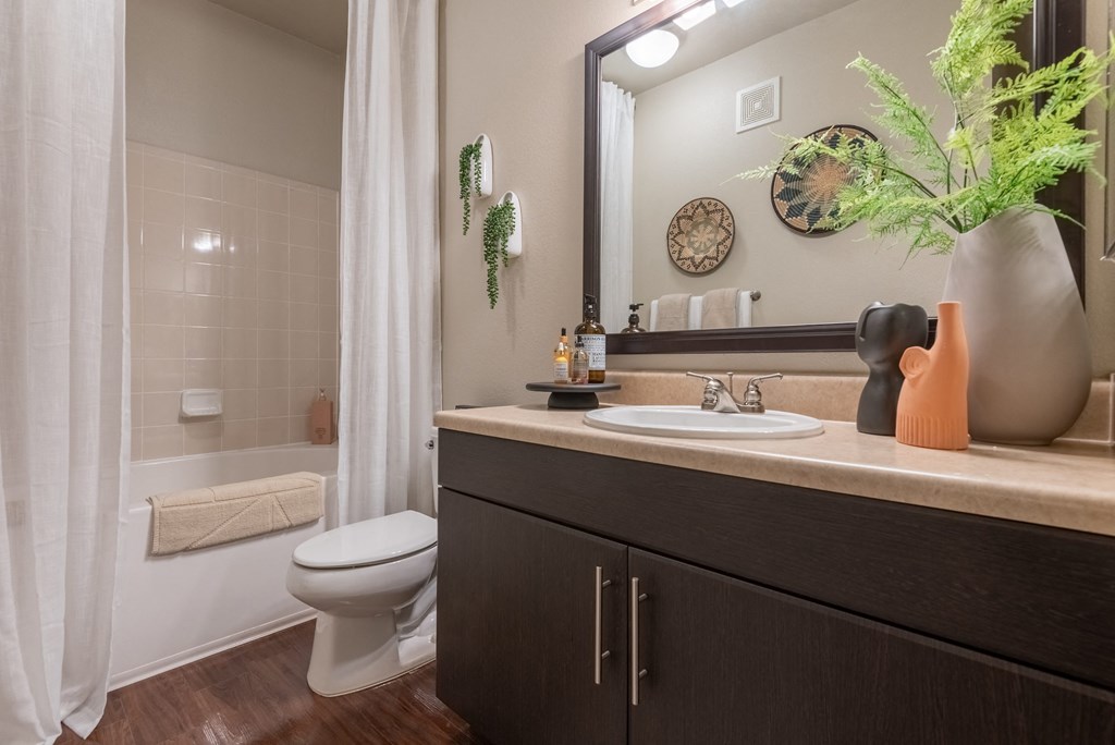a bathroom with a sink and a toilet and a shower