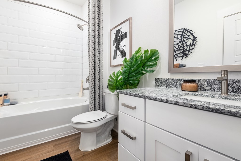 a bathroom with a sink and a toilet and a bath tub