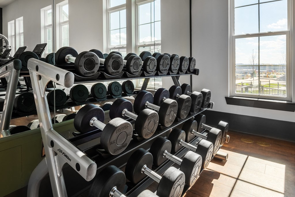 a rack of dumbbells in a gym with windows