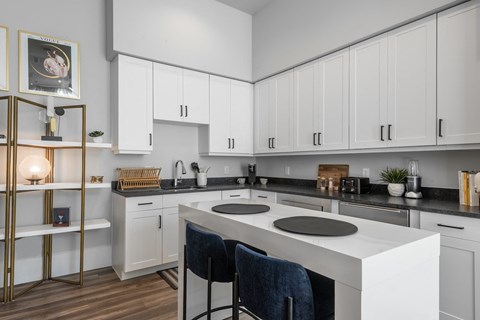 Apartment Kitchen at Tin Top at the Creamery