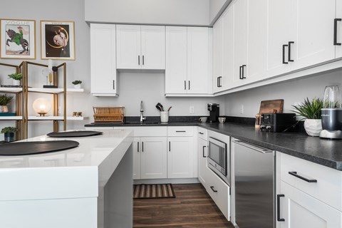 Apartment Kitchen at Tin Top at the Creamery