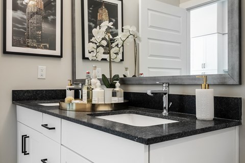 Apartment Bathroom at Tin Top at the Creamery Apartments