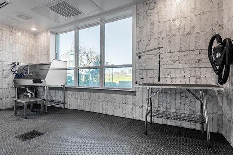 Pet Wash Station at Tin Top at the Creamery