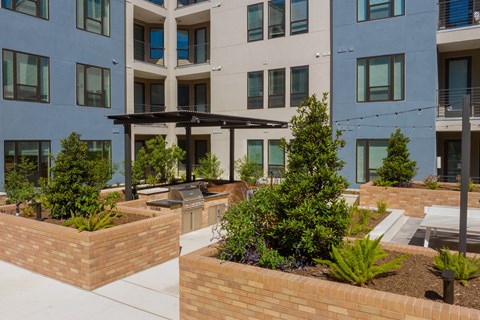 an outdoor area with plants and trees in front of an apartment building