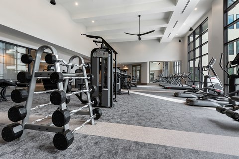 a gym with weights and other exercise equipment on a carpeted floor