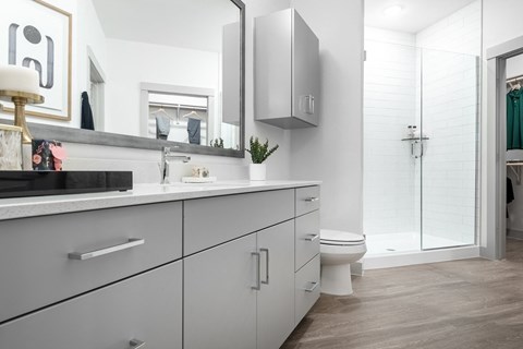 Apartment Bathroom at Tin Top at the Creamery Apartments