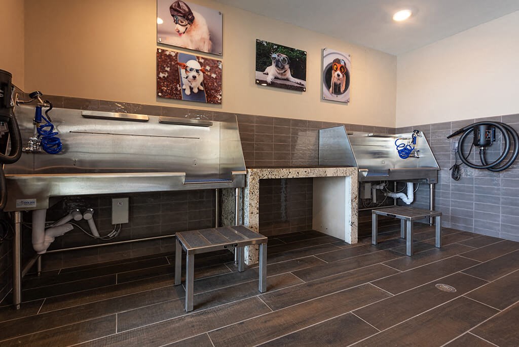 Keep your furry best friend looking their best with the Pet Spa at Encore Boulevard One Apartments, 7108 E Lowry Boulevard, CO