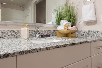 14115 N Highway 183 1-2 Beds Apartment for Rent - Photo Gallery 5