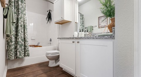 a bathroom with a toilet sink and bathtub