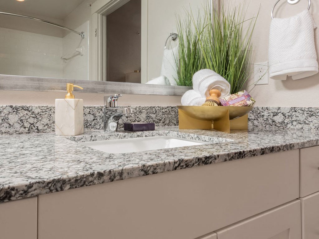a bathroom with a sink and a mirror