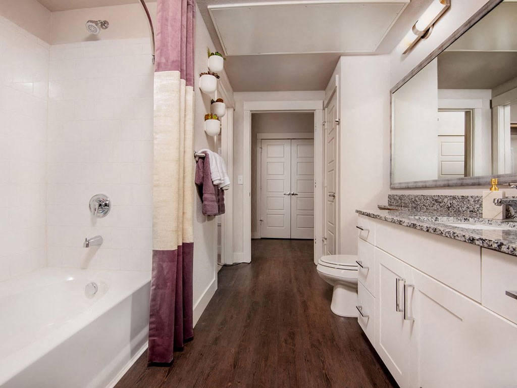 a bathroom with a tub and a toilet and a sink