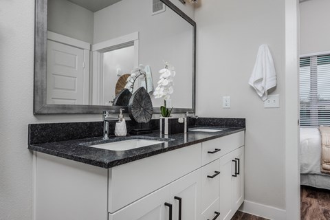 Apartment Bathroom at Tin Top at the Creamery Apartments