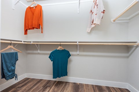 Walk In Closet at Tin Top at the Creamery Apartments