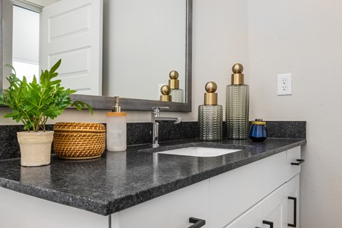 Apartment Bathroom at Tin Top at the Creamery Apartments