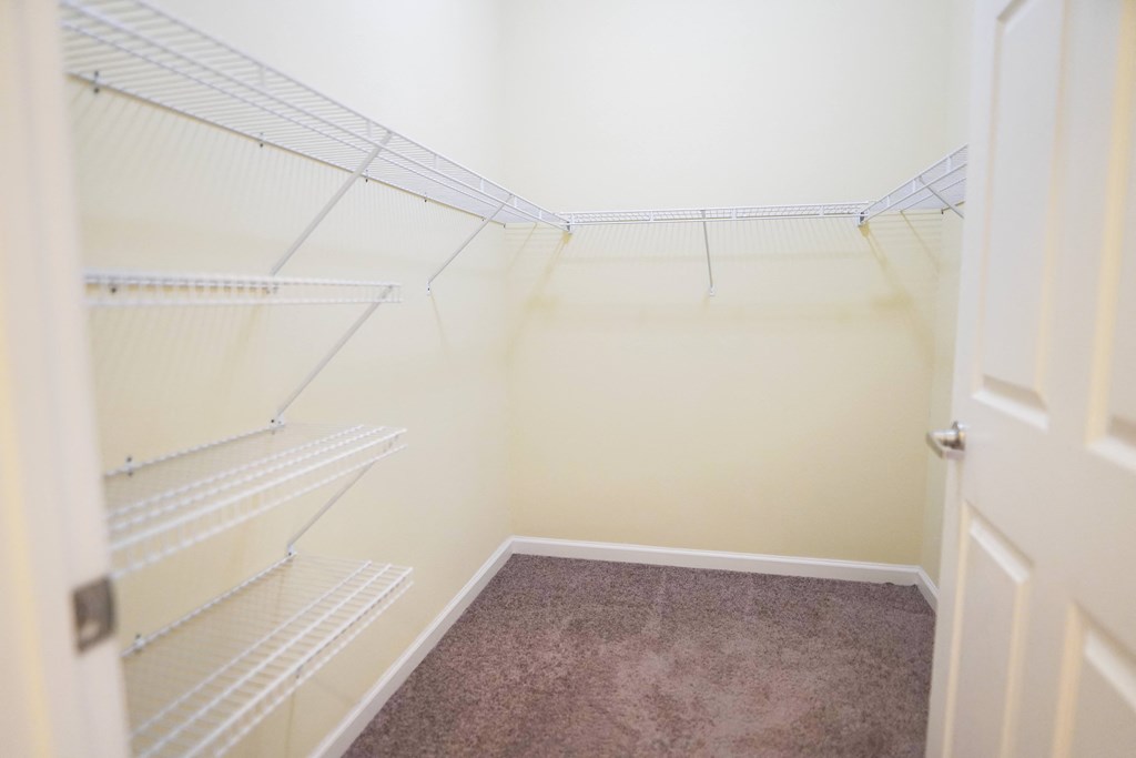 an empty closet with empty shelves in a room with carpet