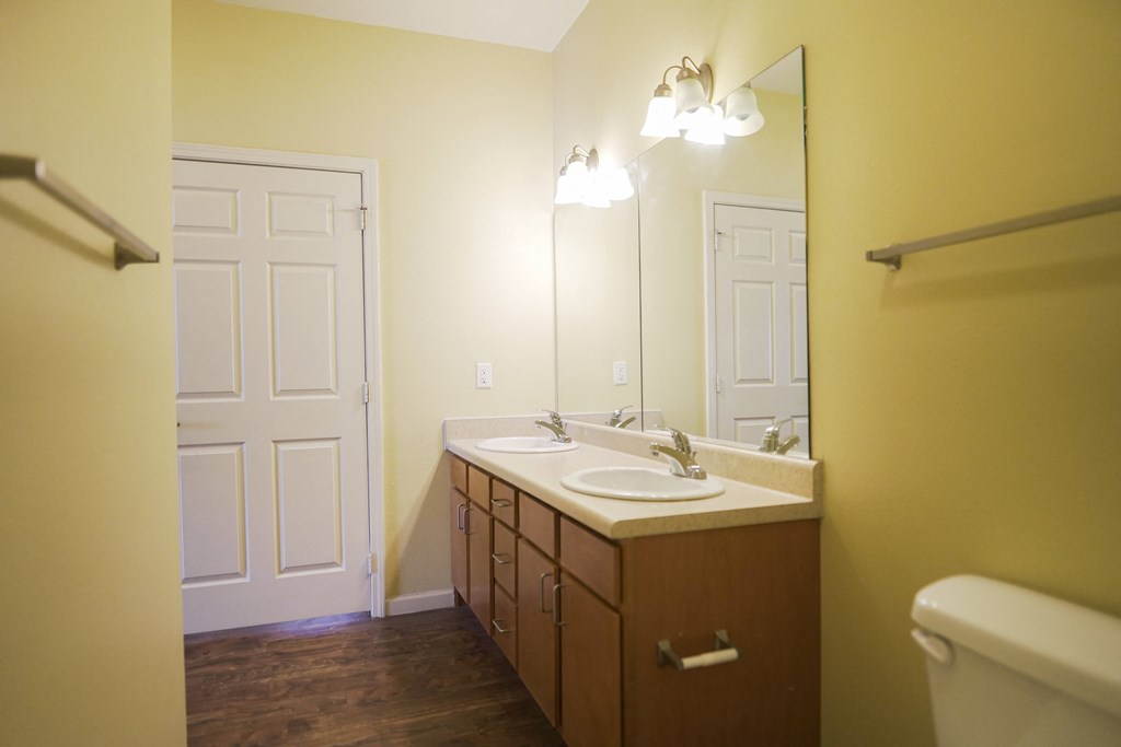 a bathroom with a sink and a mirror and a toilet