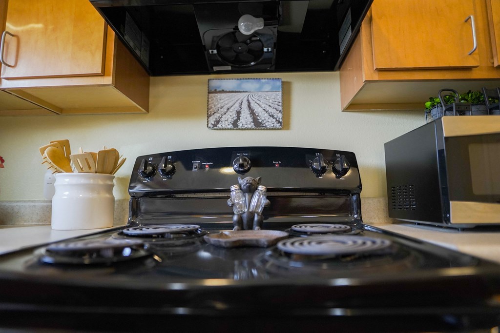A black stove top with a pot on it.