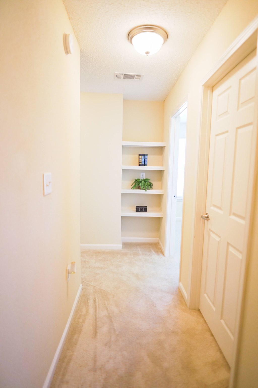 Hallway bookshelves