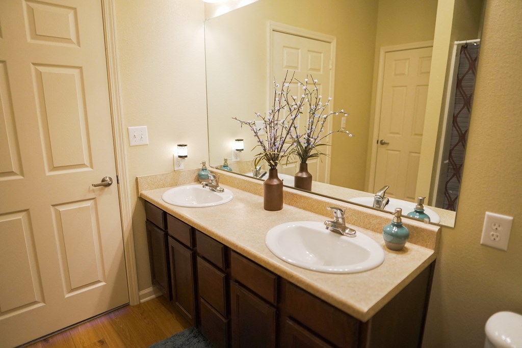 Bathroom vanity with double sink and large mirror
