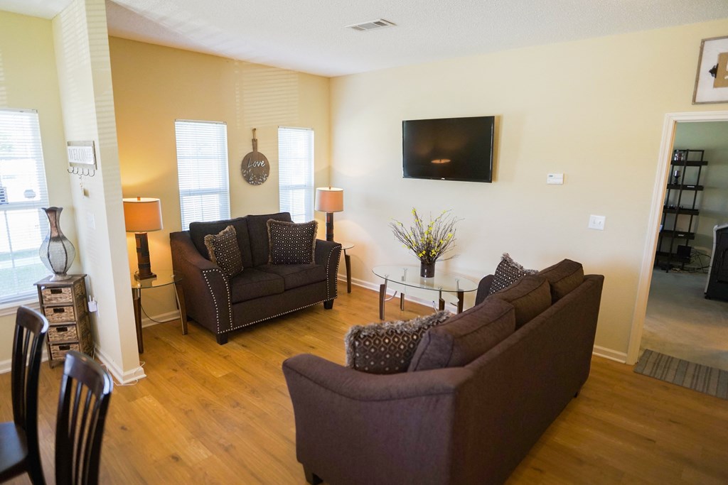 a living room with couches and a tv