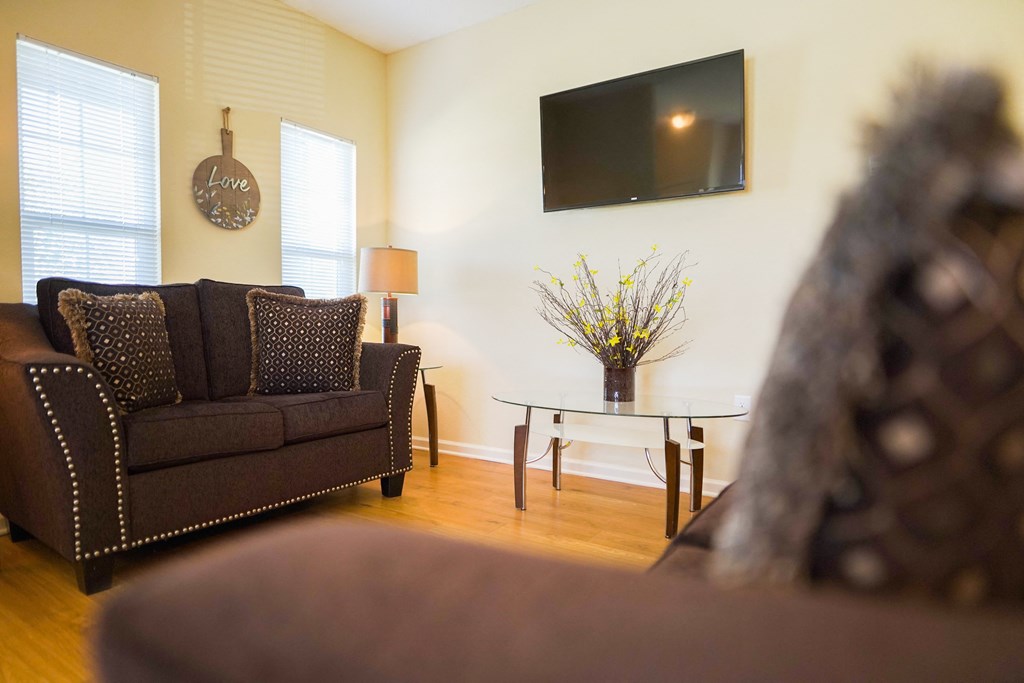 a living room with a couch and a table and a television