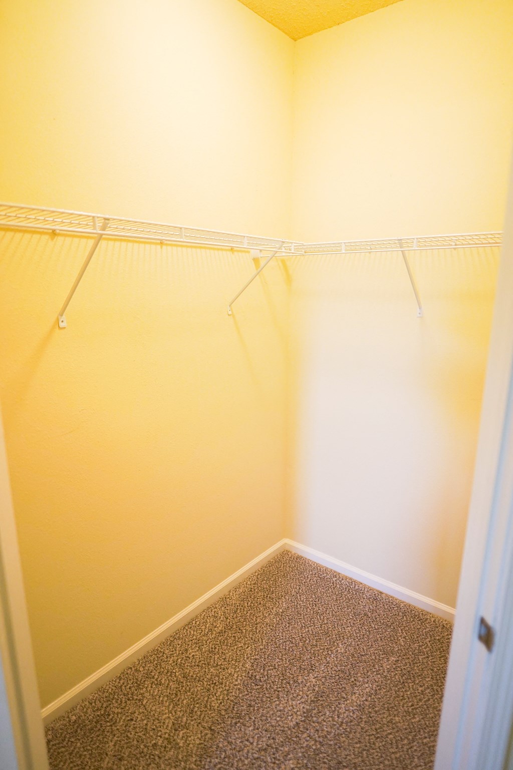 a empty closet in a room with white walls and a carpet