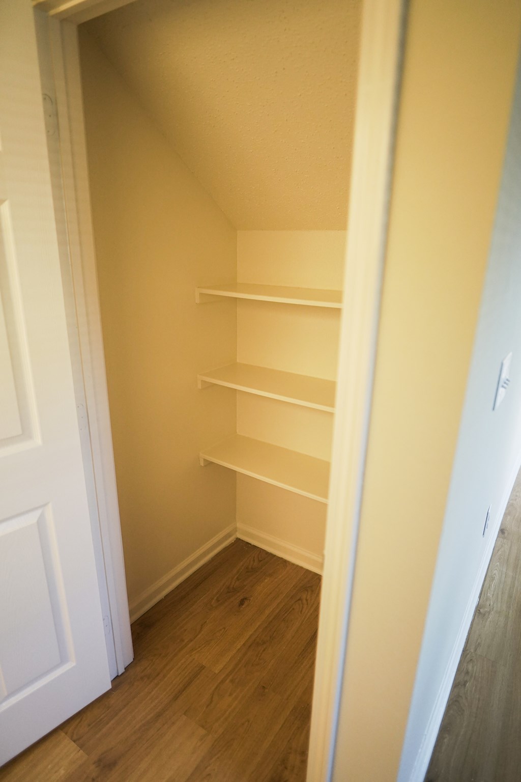a walk in closet with shelves and a door