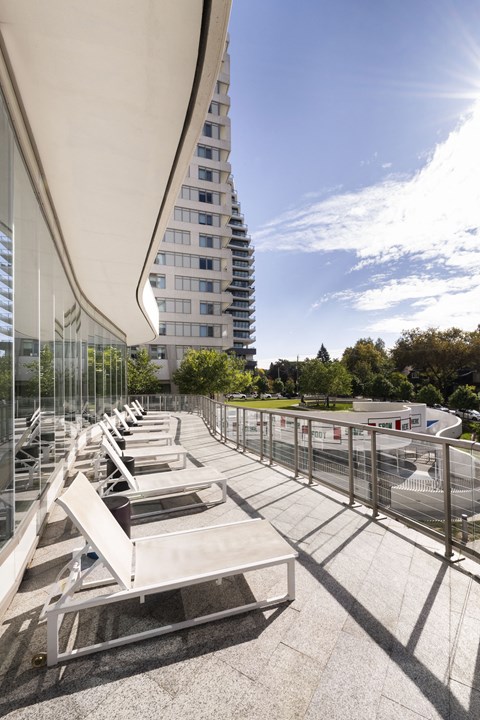 A row of sun loungers are on a paved terrace with a tall building in the background.
