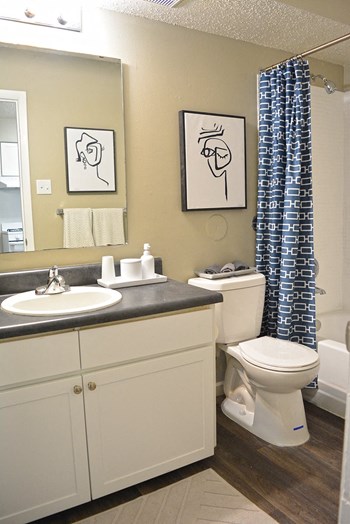3144 Sunswept Park Drive Studio-2 Beds Apartment for Rent - Photo Gallery 3
