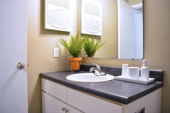 3144 Sunswept Park Drive Studio-2 Beds Apartment for Rent - Photo Gallery 2