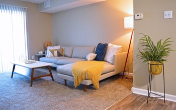 3144 Sunswept Park Drive Studio-2 Beds Apartment for Rent - Photo Gallery 6