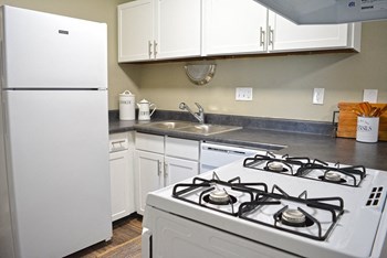 3144 Sunswept Park Drive Studio-2 Beds Apartment for Rent - Photo Gallery 5