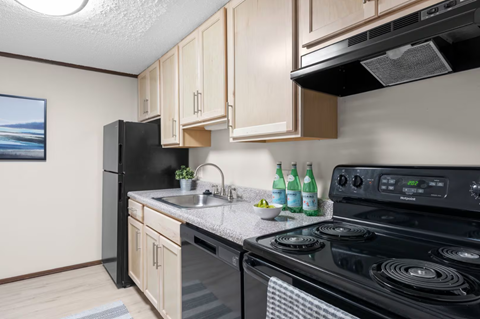 A kitchen with black appliances and wooden cabinets.