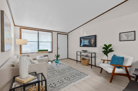 A living room with a white sofa, a wooden chair, and a patterned rug.