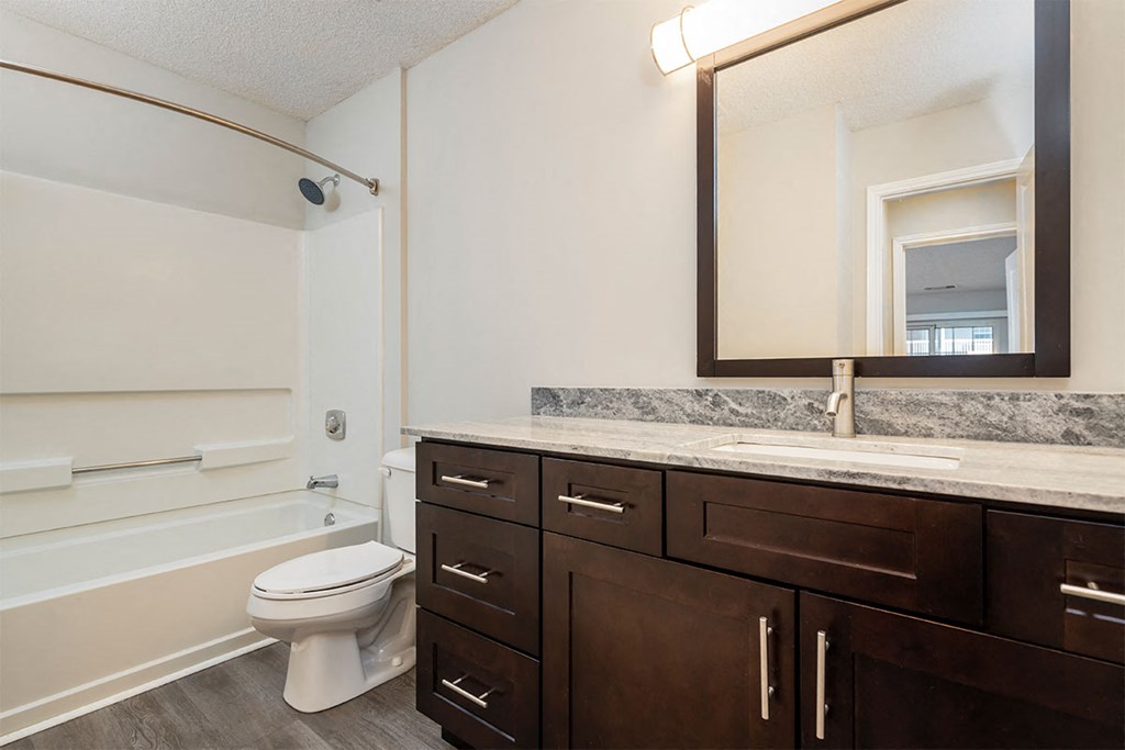 a bathroom with a toilet and a sink and a mirror