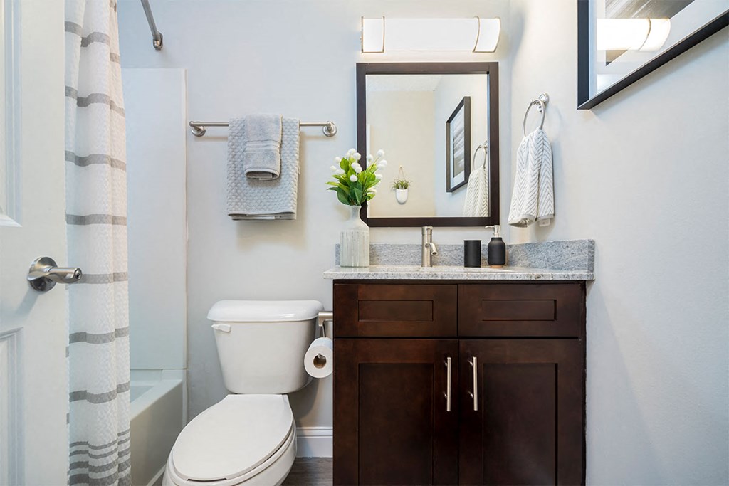 a bathroom with a toilet and a sink and a mirror