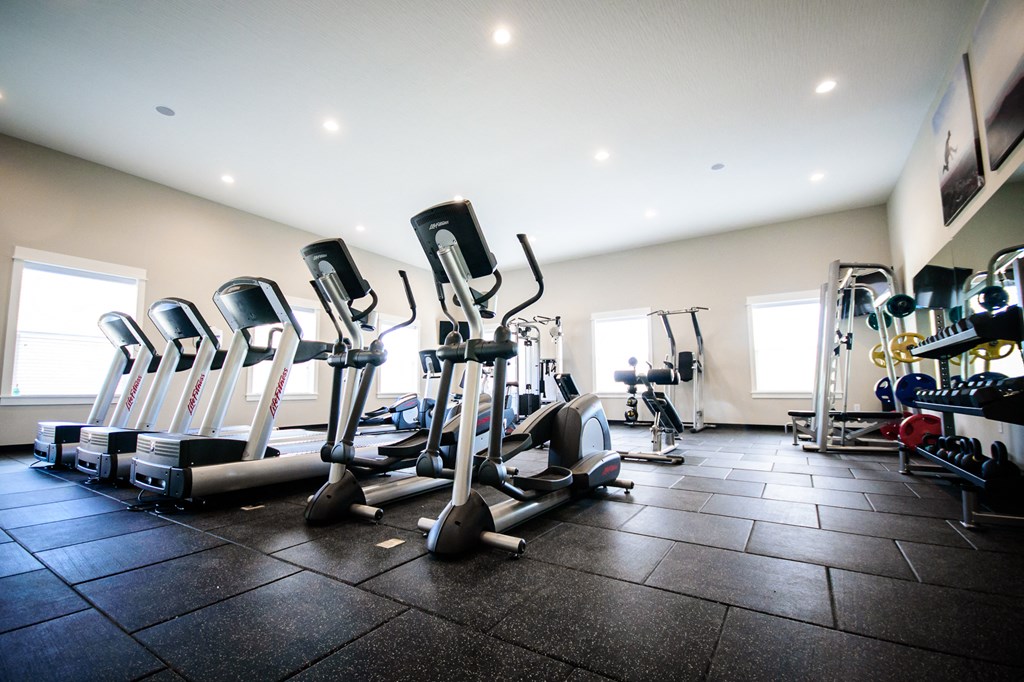 a row of exercise equipment in a gym