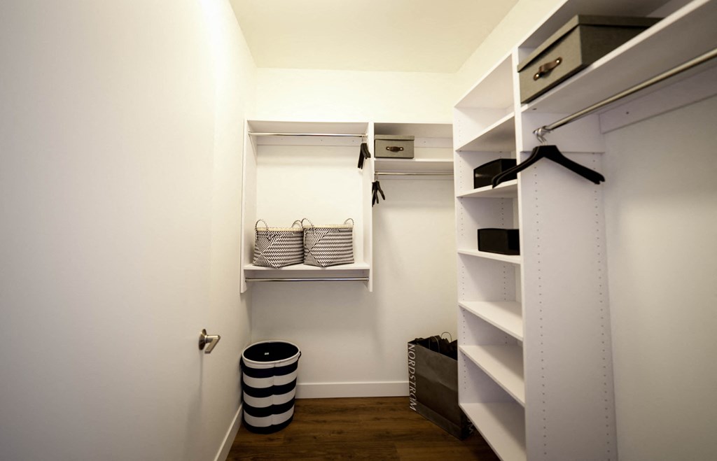 Walk-in closet with built in shelving
