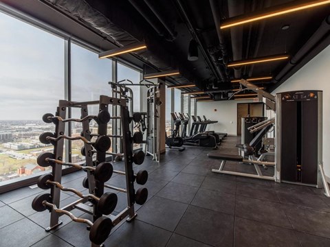 a gym with weights and a view of the city