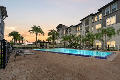 A swimming pool surrounded by palm trees and apartment buildings.