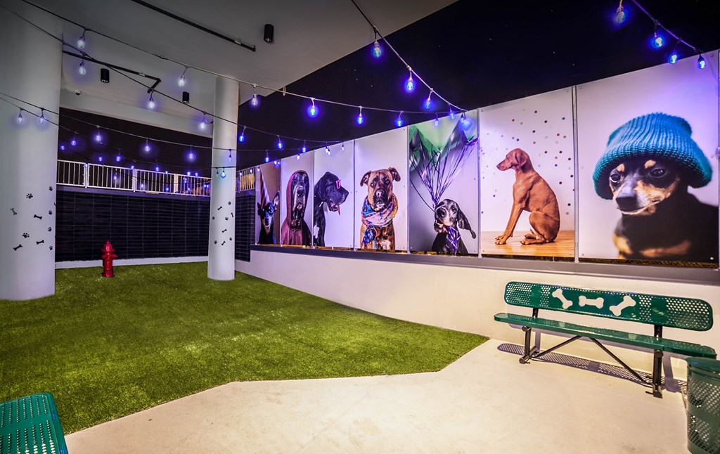 Indoor dog park with bench, turf and dog photos