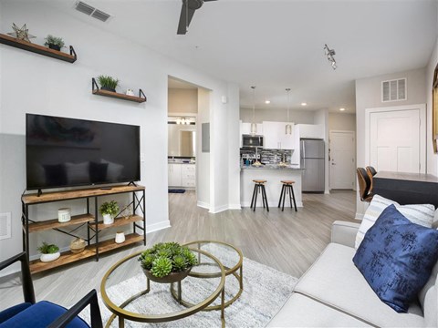 a living room with a couch and a television