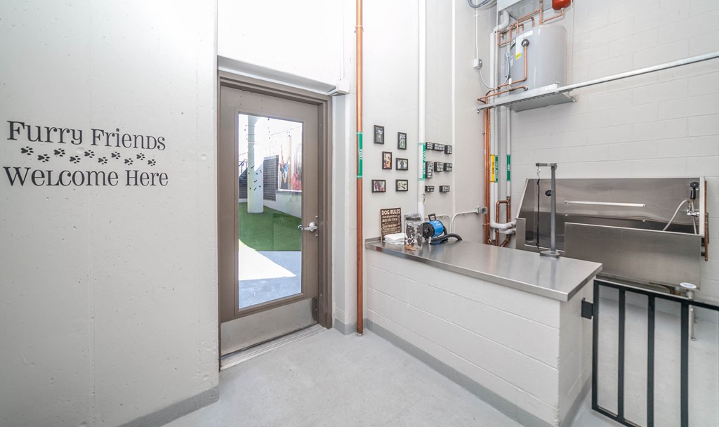 Pet Spa with wall of paws photos