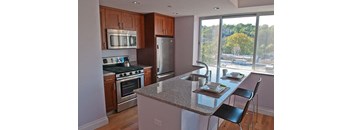 1 Bedroom  1 Bath w Terrace