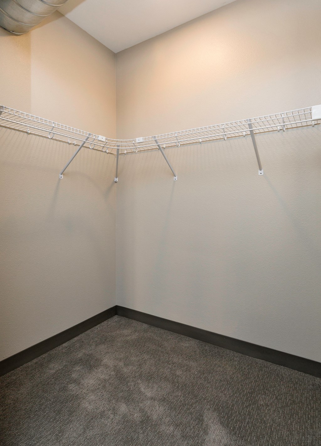 a room with a carpeted floor and a white wall with a wire rack hanging