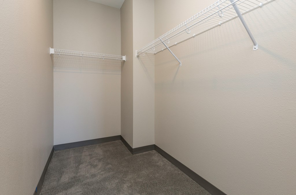a spacious room with two closets and a carpeted floor