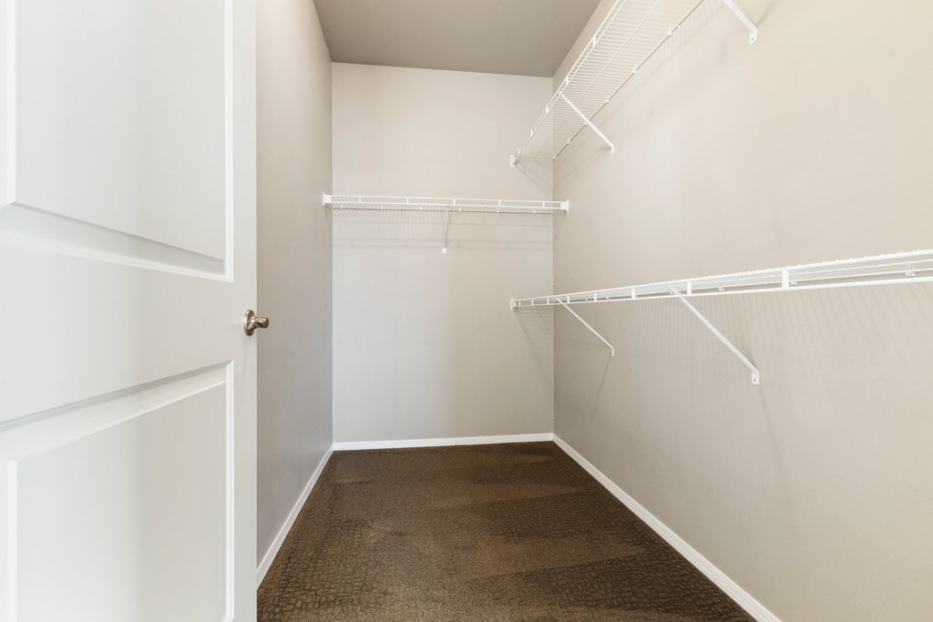 A white closet with a brown carpet.