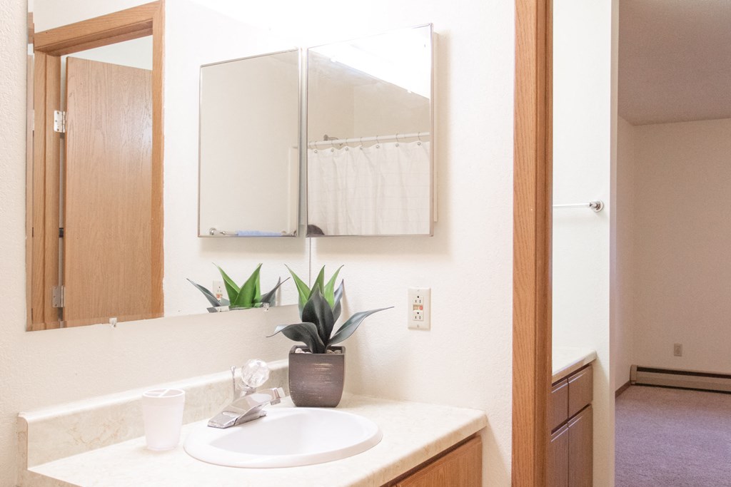 a bathroom with a sink and a mirror and a potted plant