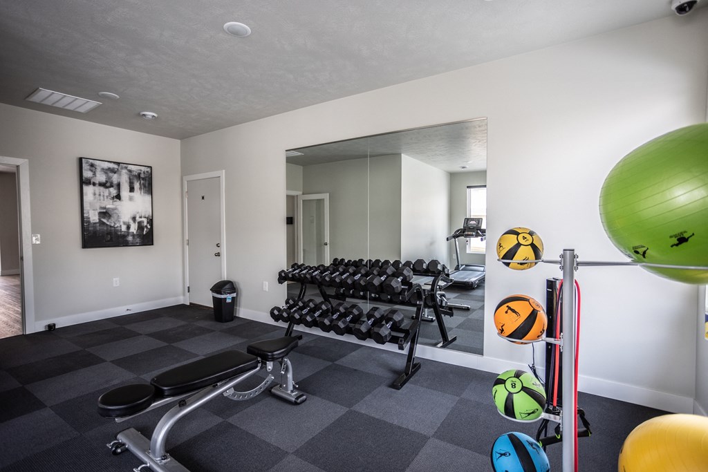 a home gym with weights and a green ball on the wall